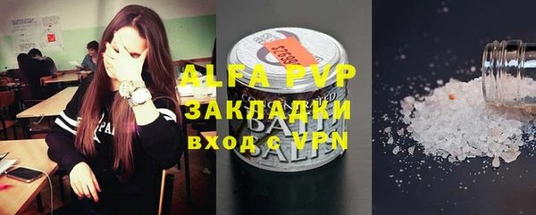 ешки Алексин