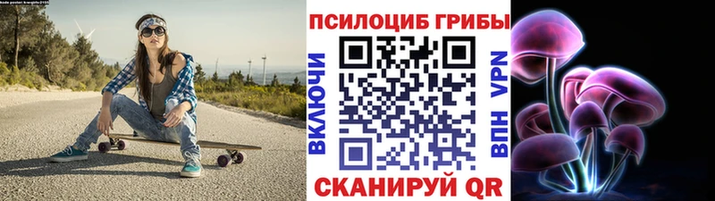 Псилоцибиновые грибы MAGIC MUSHROOMS  купить закладку  Аргун 